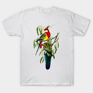 Rose-hill Parakeet illustration T-Shirt